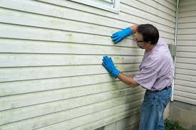 Professional Siding Installation in Reed Creek, GA